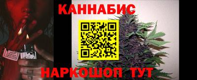 крисы Тулун