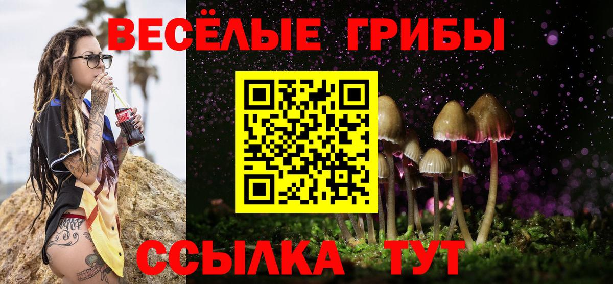Галлюциногенные грибы GOLDEN TEACHER Хабаровск